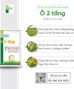 O 2 tang 250g 5