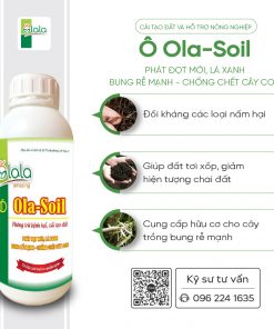 Ola Soil 1 lit 1