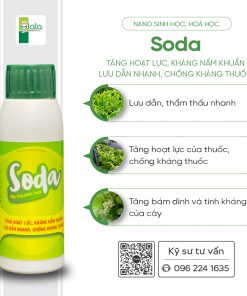 SODA 100ml 1